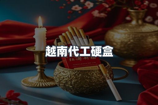 越南代工硬盒